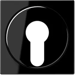 Jung Abdeckung für Schlüsselschalter (schwarz)