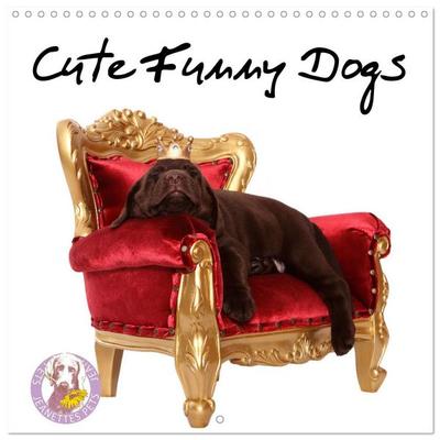 Cute Funny Dogs (Wall Calendar 2026 12 × 12 Inch) CALVENDO 12 Month Wall Calendar