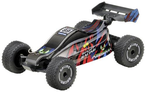 Absima Early Stage Serie Brushed 1:24 RC Einsteiger Modellauto Elektro Buggy Heckantrieb (2WD) RtR 2,4GHz