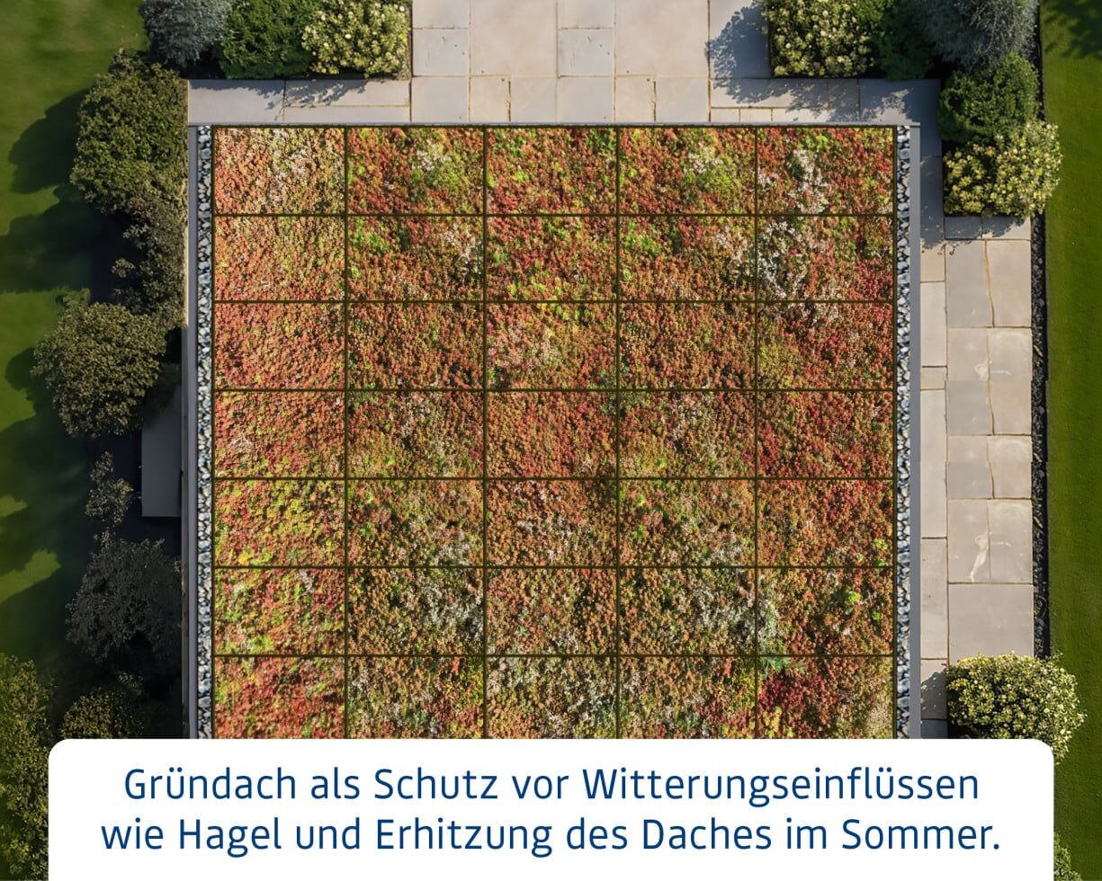 EcoStar Dachrahmen für Gründach Pultdach Typ 1 rot