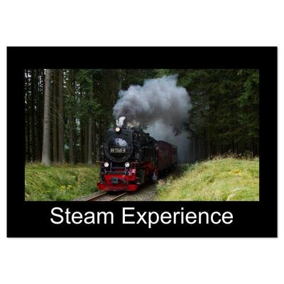 Steam Experience (Wall Calendar 2026 DIN A3 landscape), CALVENDO 12 Month Wall Calendar