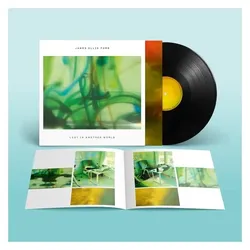 Domino Records, Schallplatten, Lost In Another World (VINYL) (James Ellis Ford)