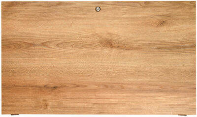 Thon Back Door 20U Studio OAK Eiche