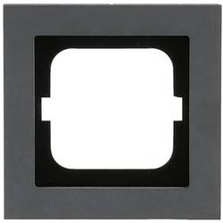 Busch-Jaeger Rahmen Busch-axcent 2CKA001754A4795 1 St.