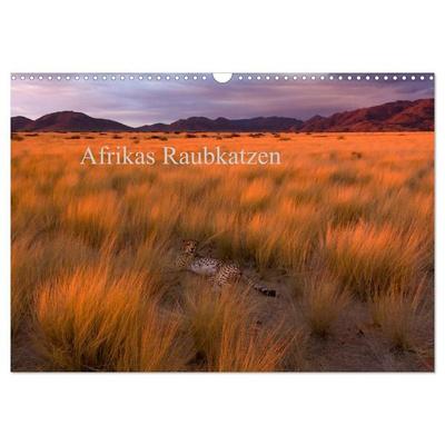 Afrikas Raubkatzen (Wandkalender 2027 DIN A3 quer), CALVENDO Monatskalender