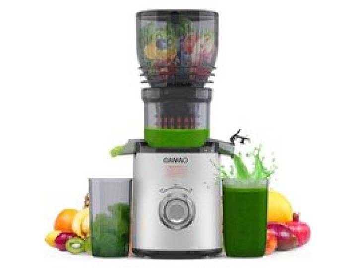 Slow Juicer 300W Extracteur De Jus De Fruits Et Légumes Argent