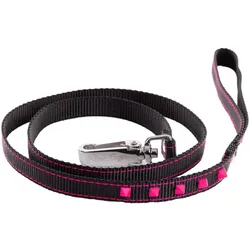 Martin Sellier Fluo (Hund, Spazieren), Halsband + Leine