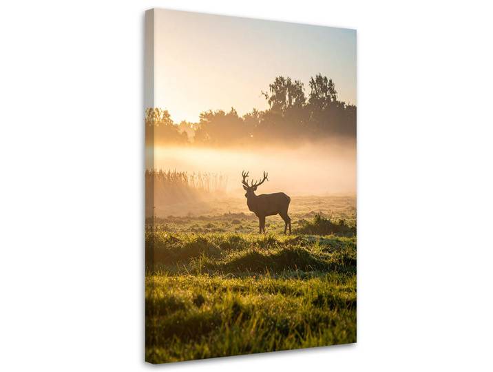 Feeby Leinwandbild Hirsch in der Brunft im Nebel 70x100cm, Beige, Landschaft/Berg, Rechteckig, 70x100 cm, Bilder & Rahmen, Bilder, Leinwandbilder