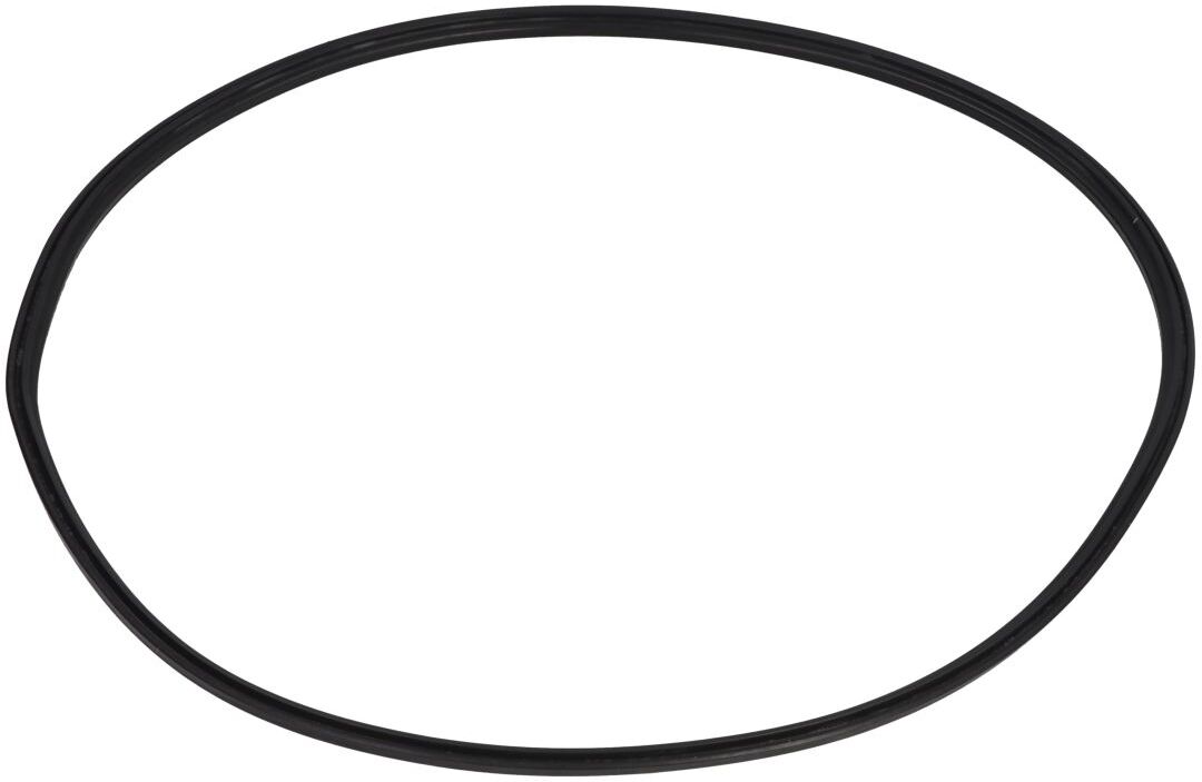 Zf O-ring, cambio 0501 329 717