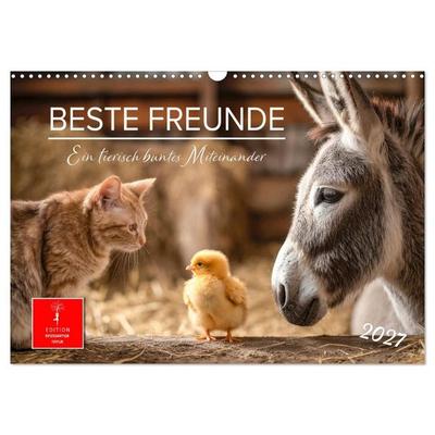 Beste Freunde - ein tierisch buntes Miteinander (Wandkalender 2027 DIN A3 quer), CALVENDO Monatskalender