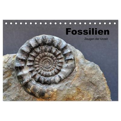 Fossilien - Zeugen der Urzeit (Tischkalender 2026 DIN A5 quer), CALVENDO Monatskalender
