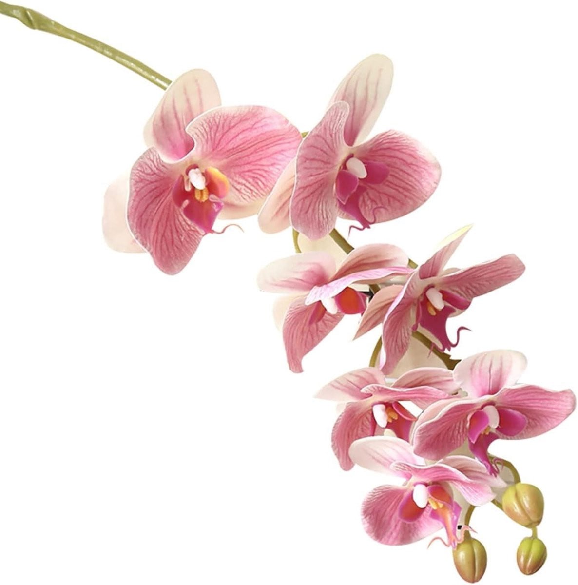 Lichtroze Zijden Orchidee Kunstbloem - Realistische Decoratie voor in de Woonkamer - Lengte: 835 cm
