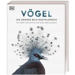 Vögel, Sachbücher von DK Verlag, Dr. Andrea Kamphuis, Eva Sixt, Andreas Held, Hans W. Kothe