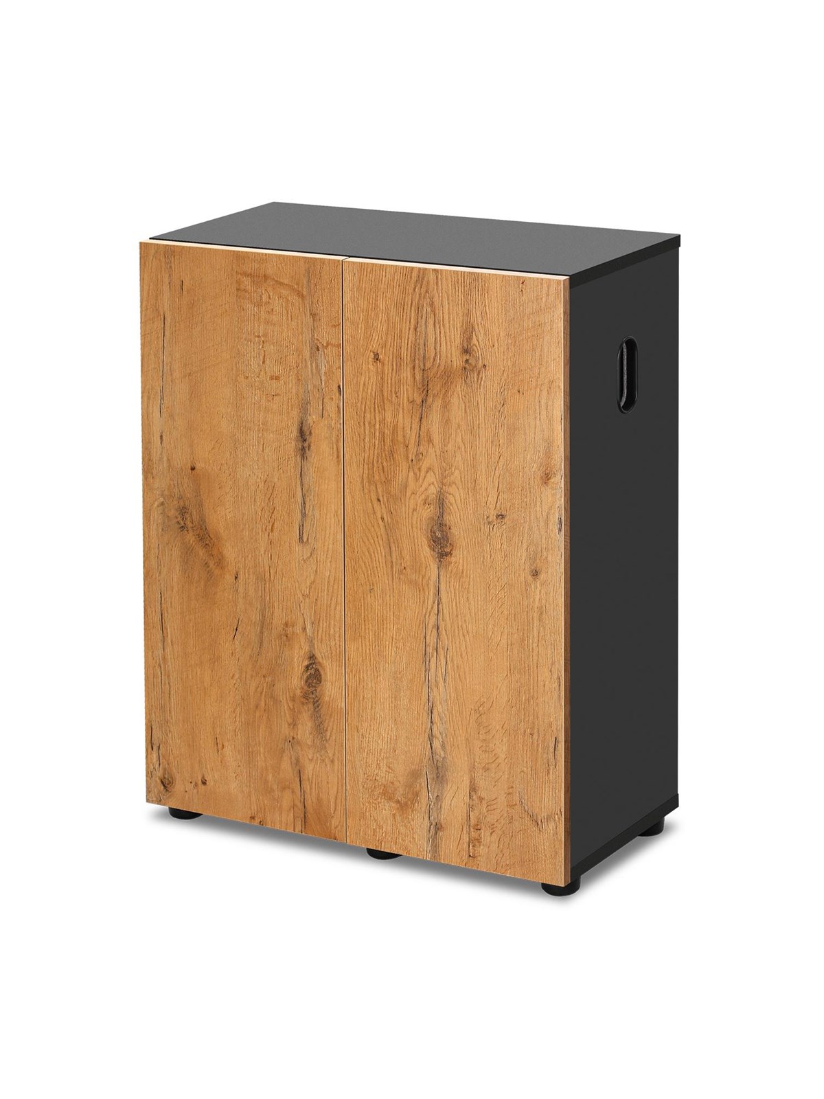 AQUAEL Ultrascape 60 Forest furniture