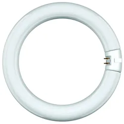 Scharnberger+Hasenbein Leuchtstofflampe Ringf. T9 68816