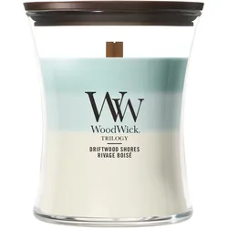 Driftwood Shores (Trilogy) 275g