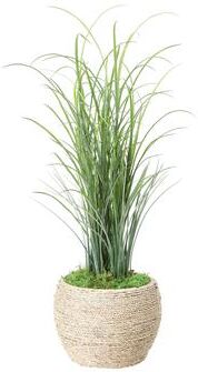 Creative Labs Grass in Rope Planter