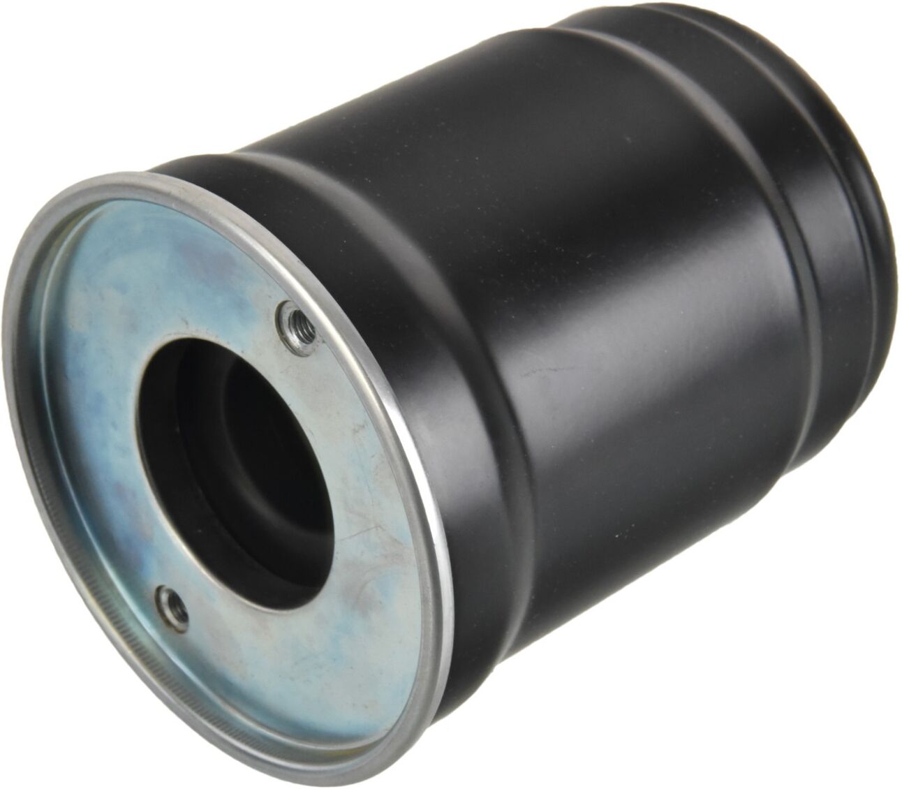 FEBI BILSTEIN 184365 Fuel filter