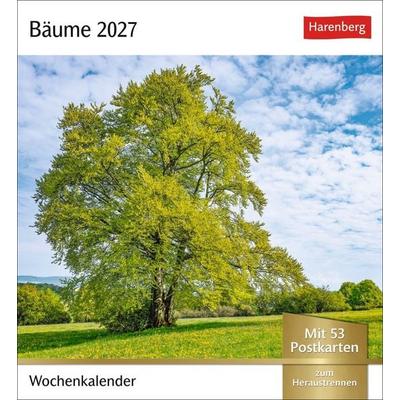 Bäume Postkartenkalender 2027 - Wochenkalender mit 53 Postkarten