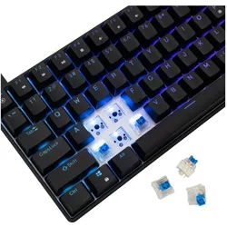 White Shark GK-005121 Hamachi Mechanical RGB / US - Blue SW. (US, Kabelgebunden), Tastatur, Schwarz