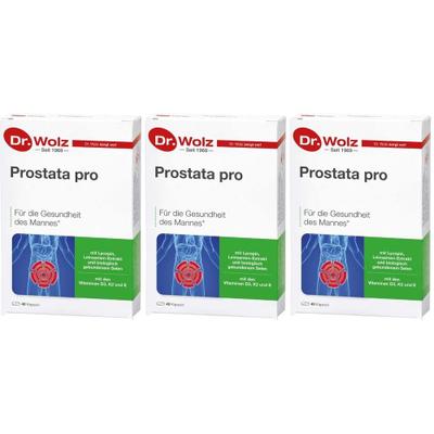 Prostata PRO Dr.Wolz Kapseln 3x 3x2x20 St