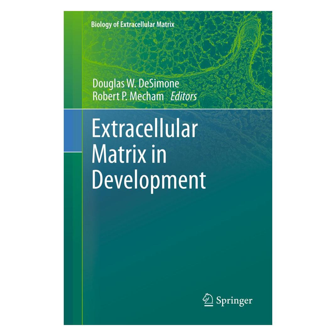 Springer Extracellular Matrix in Development (Englisch, Softcover, Douglas W. DeSimone, Robert Mecham) (55585970)