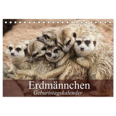 Erdmännchen (Tischkalender 2027 DIN A5 quer), CALVENDO Monatskalender