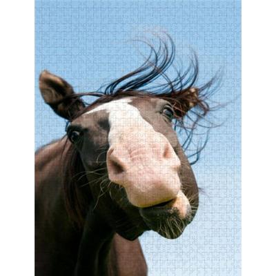 CALVENDO Puzzle Ein Motiv aus dem Kalender Pferdegesichter - Porträts mit Spaß | 1000 Teile Lege-Größe 64x48cm Foto-Puzzle für glückliche Stunden