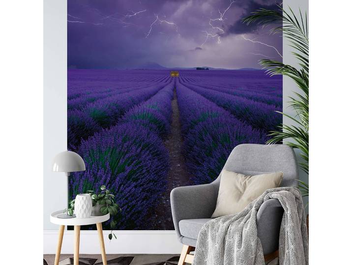 Papier peint Field of Lavender 1cm