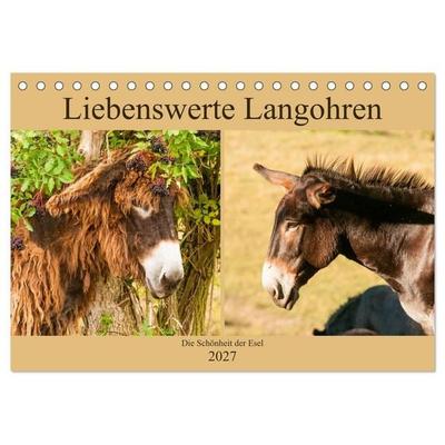 Liebenswerte Langohren - Die Schönheit der Esel (Tischkalender 2027 DIN A5 quer), CALVENDO Monatskalender