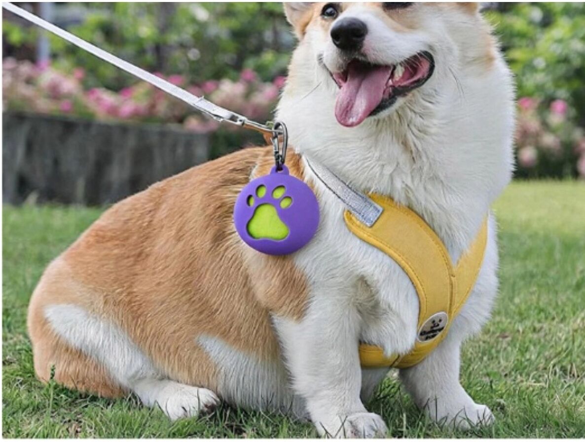 INF Silikon-Hundeballhalter – kaubeständige Tennisball-Hülle mit Karabiner für Outdoor-Apport und Training Violett