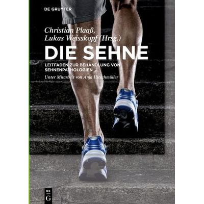 Die Sehne, Gebundene Ausgabe von , De Gruyter, 978-3-11-042728-8