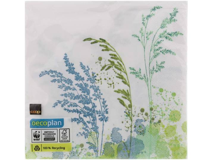 Oecoplan-Servietten Gräser 33cm 20 Stück
