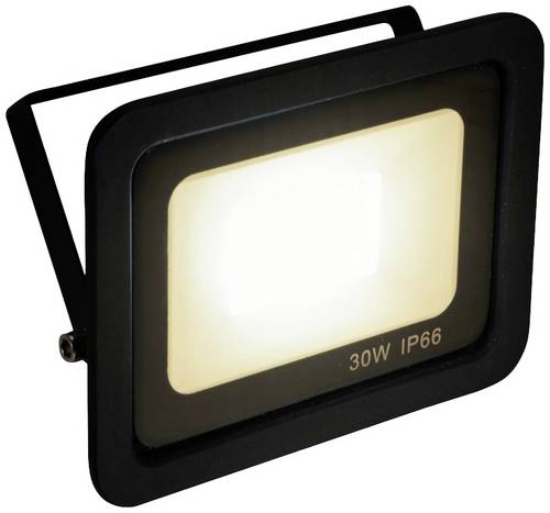 Eurolite FL-30 51915020 Außenstrahler EEK: F (A - G) 30W Leuchtfarben: Warmweiß
