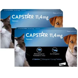 Capstar Tab Hunde bis 11 kg und Katzen 2X6 St