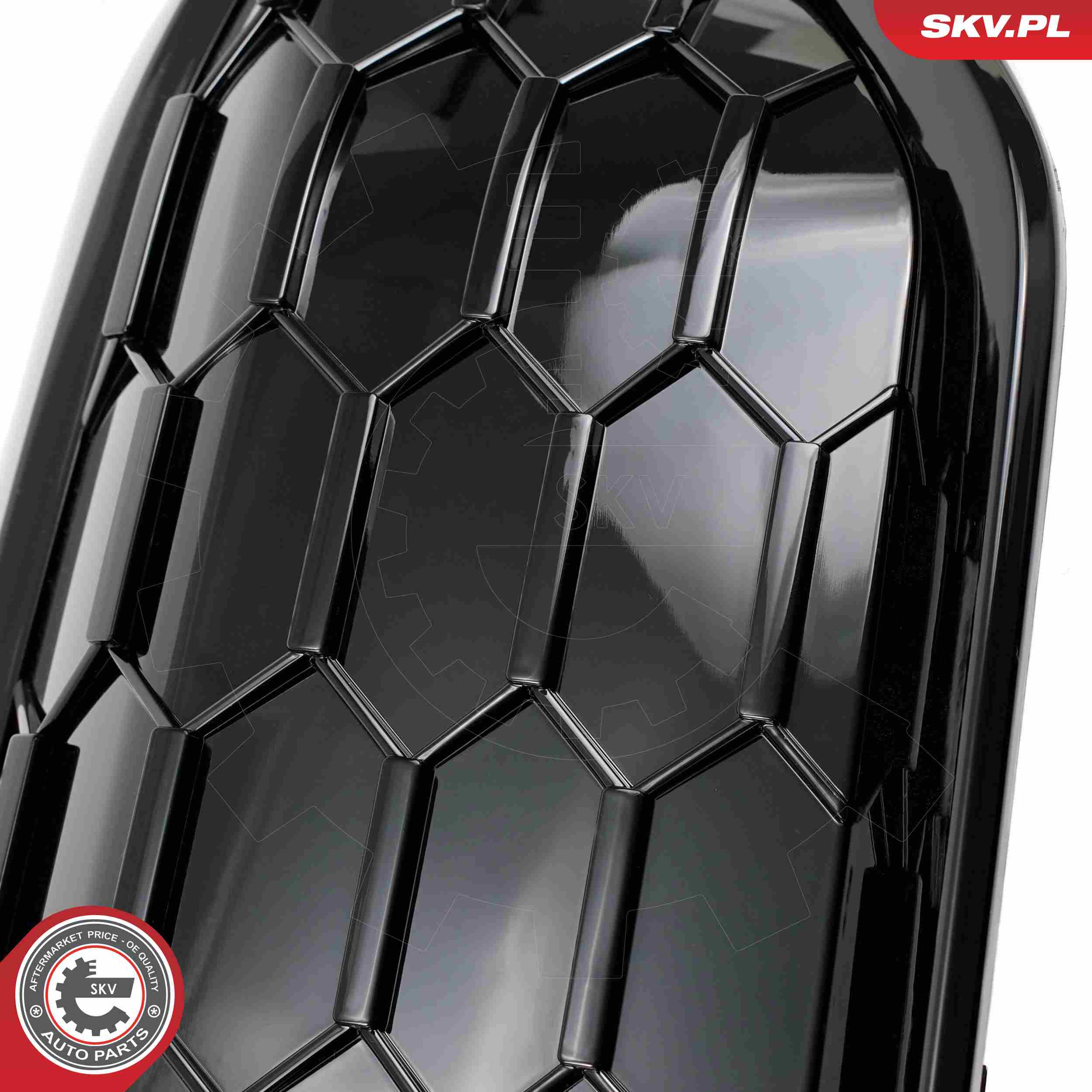 Esen Skv 66skv317