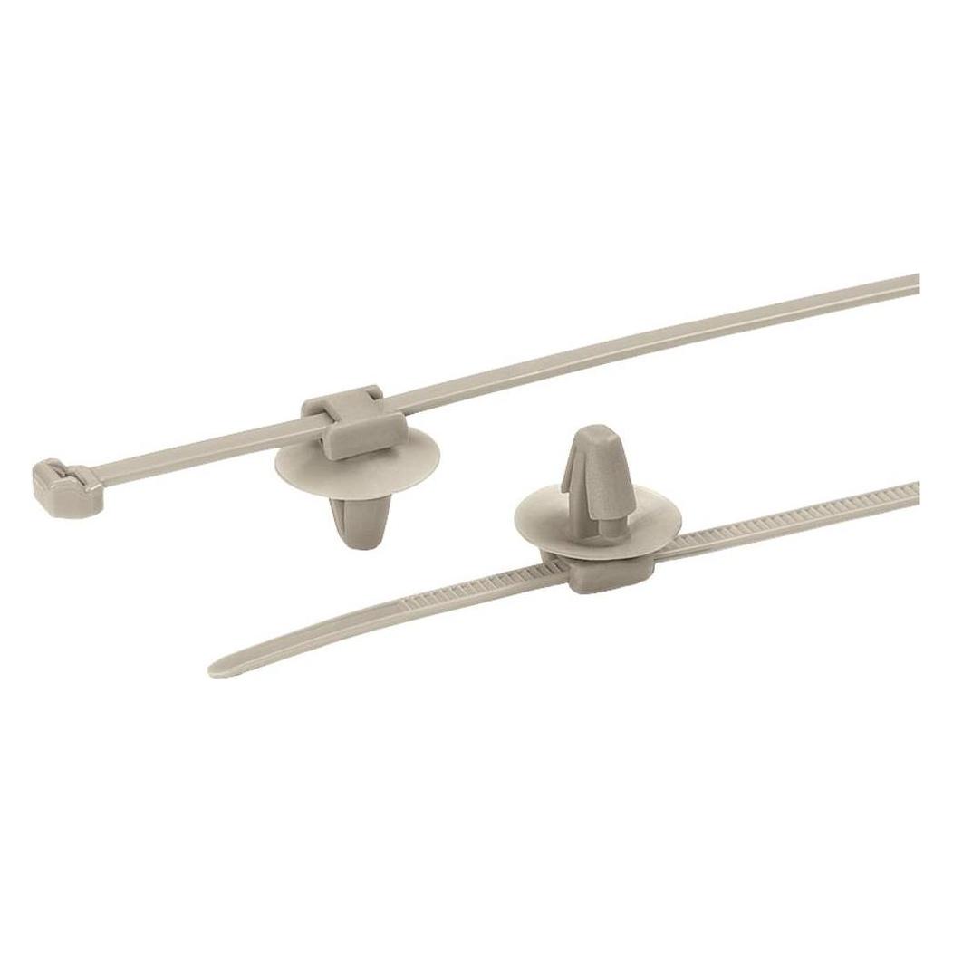HellermannTyton 156-01091 PT2AP2SFT6.5-PEEK-BGE Kabelbinder 145 mm 3.4 mm Beige (Kunststoffkabelbinder, 145 mm, 1 Stk.) (156-01091)