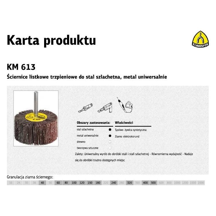 Klingspor Leam Urlaub Weihnachten KM613 30 mm x 20 mm x 6 mm gr. 80 (80) (35600613)