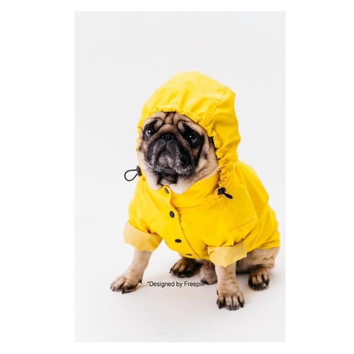epubli Süsses Hunde Notizbuch Businessplaner Geschenkidee für Mann Frau und Kind (Blanko) (56136533)