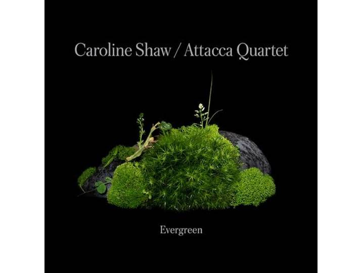 Caroline Shaw:Evergreen