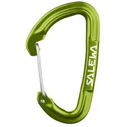 Salewa Hot G3 Wire Karabiner Fluo Green