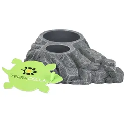 Terra della Rock, Terrariumeinrichtung