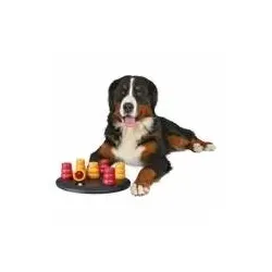 Dog Activity Strategiespiel Solitär Intelligenzspielzeug Level 1