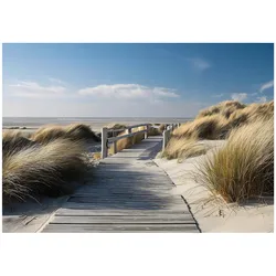 FOTOTAPETE Strand Meer Beige 250x175 cm
