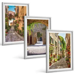 BILDER SET 3er Set - 40x60 cm Silberner Rahmen - Italienische Straßen, Blumen, Architektur