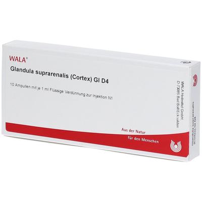 Glandula Suprarenalis cortex GL D 4 Ampullen 10x1 ml
