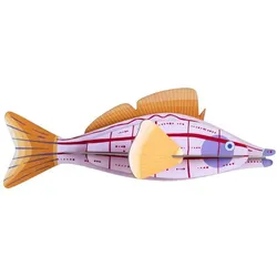 WANDDEKO Kreativer Fisch 8/8.5 cm