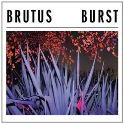 Cargo, Schallplatten, Burst (Brutus)