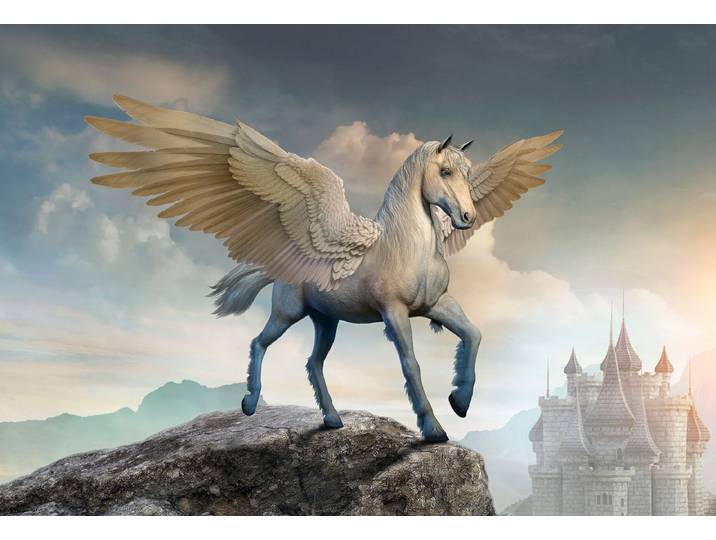 Fototapete PAPERMOON PEGASUS-PFERDE TIERE PFERD SCHLOSS PALAST FANTASY DEKO , bunt, B:4,5m L:2,8m, Vlies, Tapeten, Fototapete