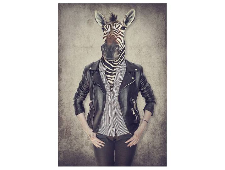 Alubild Zebra Gentleman image LAND
